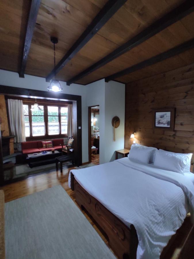 Xenonas Brizi Hotel Elati  Ngoại thất bức ảnh