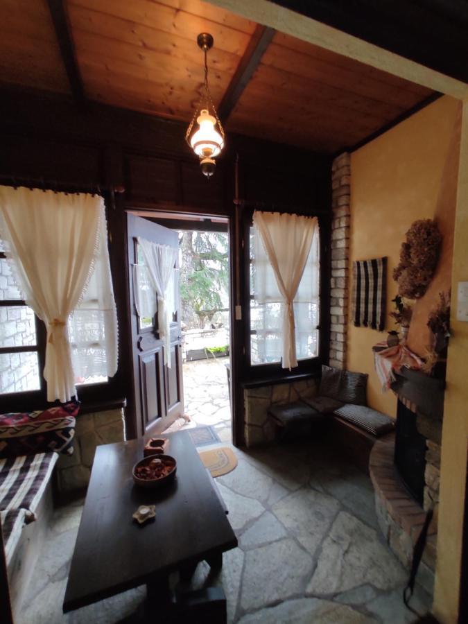 Xenonas Brizi Hotel Elati  Ngoại thất bức ảnh