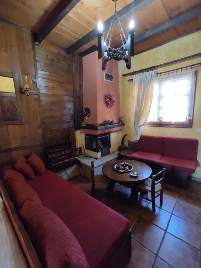 Xenonas Brizi Hotel Elati  Ngoại thất bức ảnh
