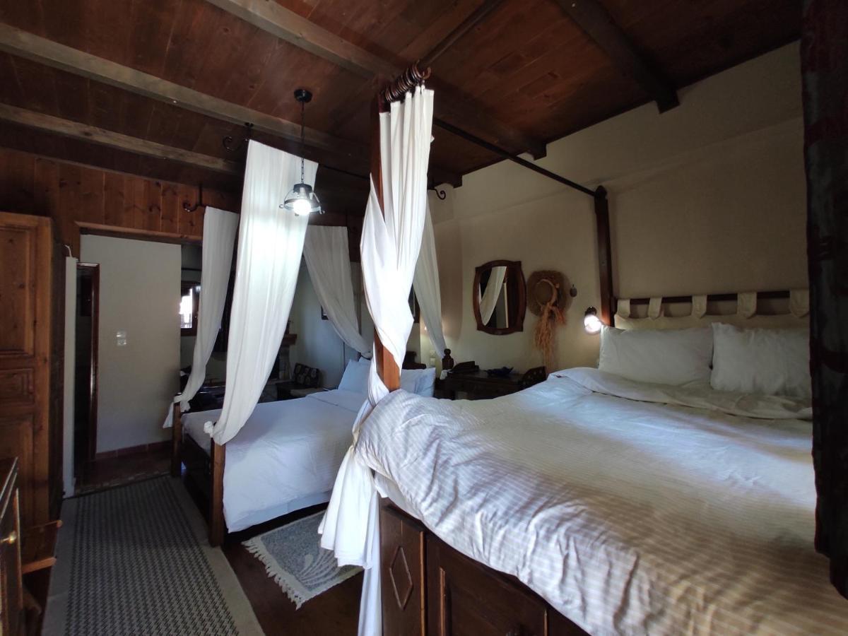 Xenonas Brizi Hotel Elati  Ngoại thất bức ảnh
