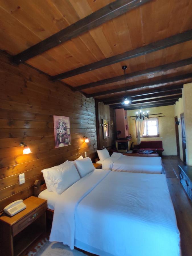 Xenonas Brizi Hotel Elati  Ngoại thất bức ảnh